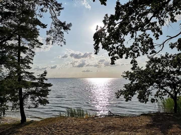 Ferienwohnung Sea Vogelsang-Warsin Exterior foto